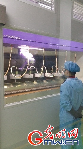 ³̬ ۡ˹غ