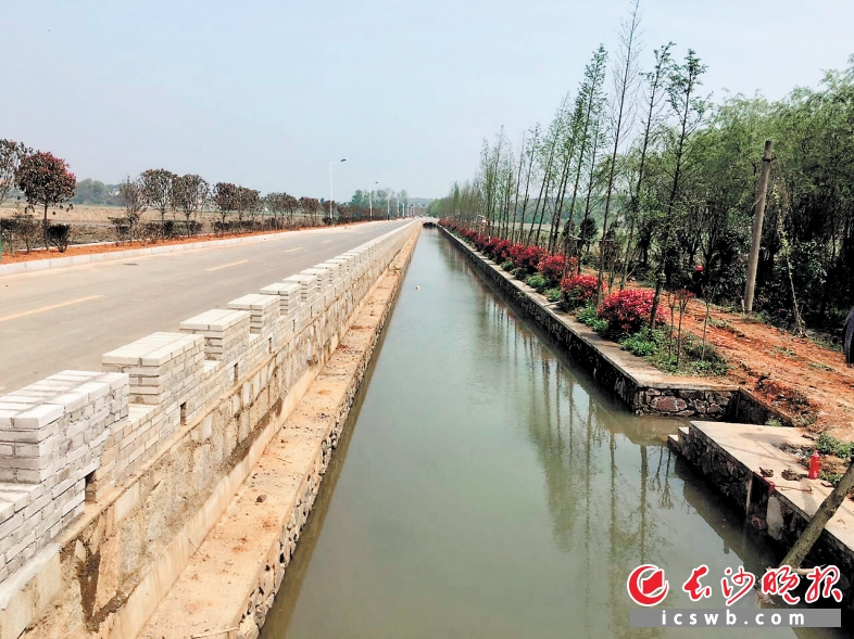 基础改造到田间,高标准的道路,水渠在望城区农村随处可见.