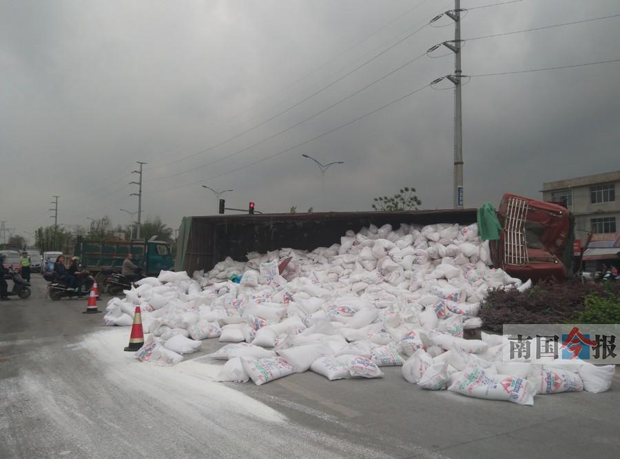 重卡侧翻袋装淀粉滚落 三轮车司机不幸被掩埋(图)