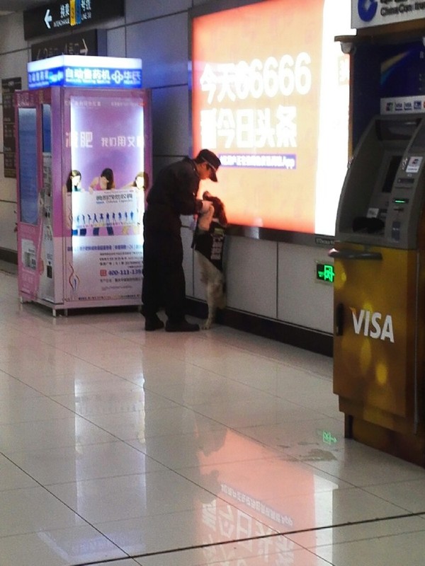 “公务汪Jess”被带到墙角训话。图据网友@Daisy最近狂刷kkw