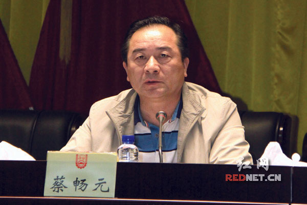 湖南省人社厅副厅长、党组副书记蔡畅元主持。