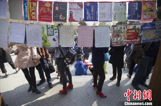 山西“三高”女性“不婚”引父辈代子相亲（图）
