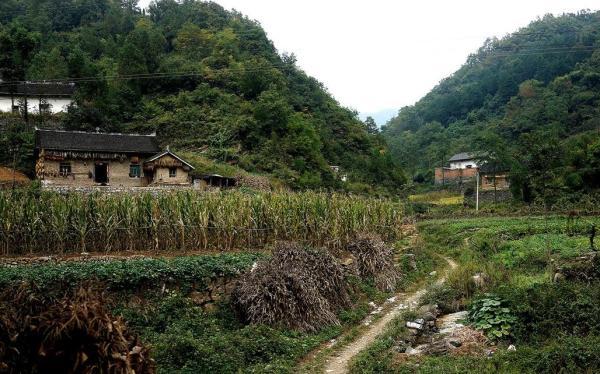 陕西一小镇109人患尘肺病 村民吃2块钱甘草片续命