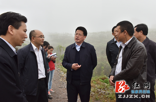 【简讯】杨光荣深入永定区调研