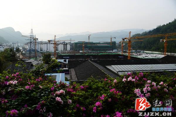 张家界武陵源万朵杜鹃扮靓“山门”迎游人