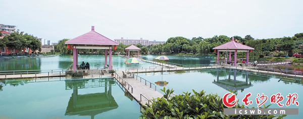 位于芙蓉区浏阳河东岸的东湖湿地碧波荡漾，是城市中心难得的一块绿肺。 资料图片