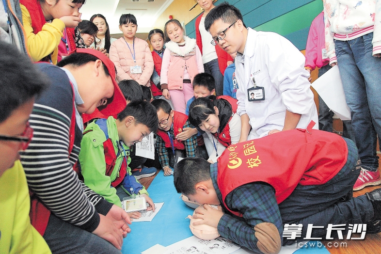 昨日,长沙市中心医院急救专家讲解生活中常用的急救知识后,长沙晚报小记者分成小组,在专家的指导下学习心肺复苏急救法。 长沙晚报记者 陈飞 摄