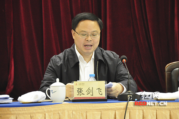会议由湖南省副省长张剑飞主持。