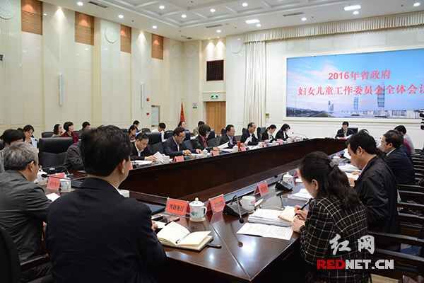 13日，2016年湖南省政府妇儿工委全体会议在长沙召开。