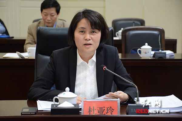 湖南省政府妇儿工委副主任，省妇联主席杜亚玲作工作报告。