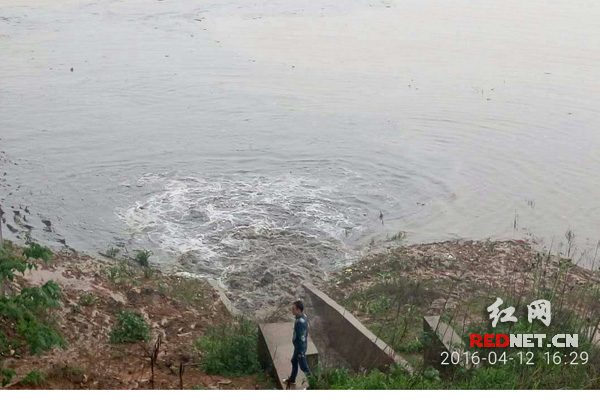排污口浑浊不堪的泥水（志愿者双面胶拍摄）