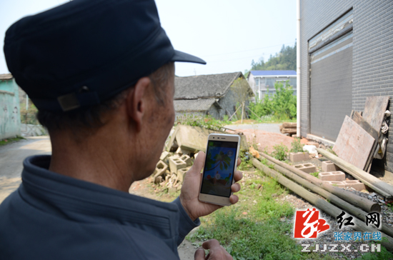 “995十户联防”筑牢张家界基层治安防控网