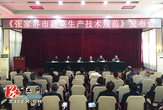 聚焦新农业！张家界市蔬菜生产技术再迎“新喜”
