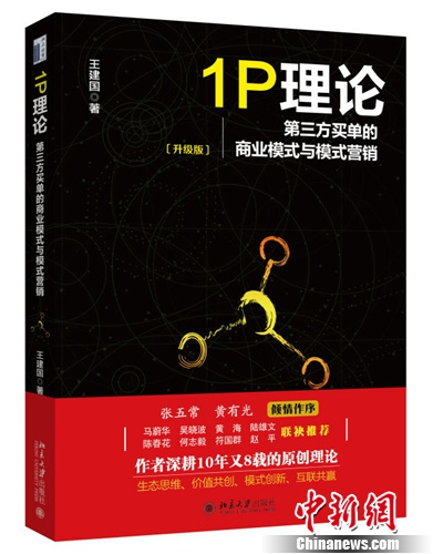 《1P理论》书封