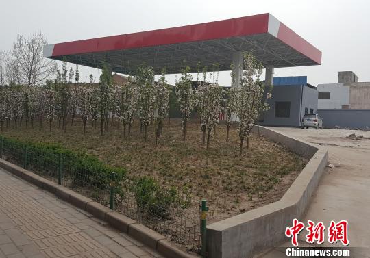 郑州一加气站占压绿化带违建被查后拔地而起（图）