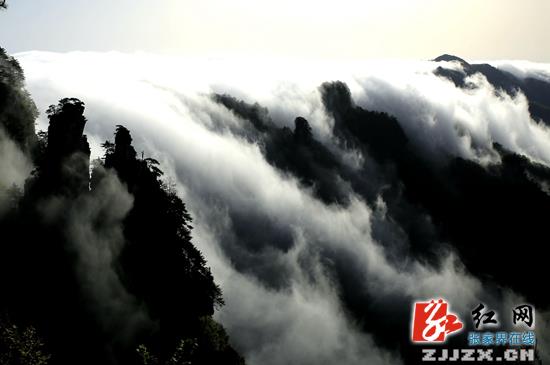 张家界武陵源：雨后云瀑宛如天际来