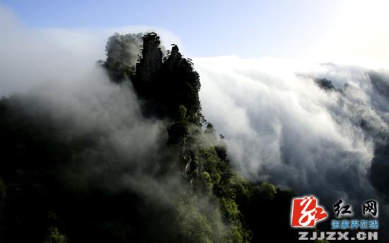 张家界武陵源：雨后云瀑宛如天际来