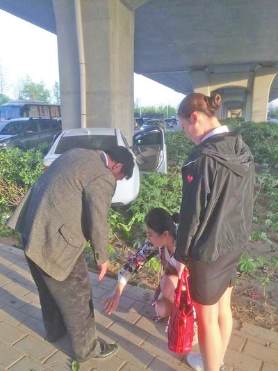 　　   女孩帮受伤司机包扎并蹲地为其拍打长裤上的尘土