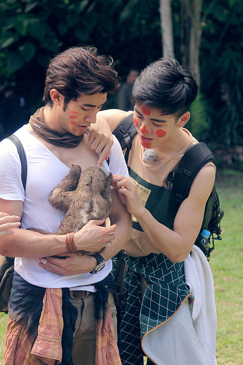 李治廷、曾舜晞与树懒互动