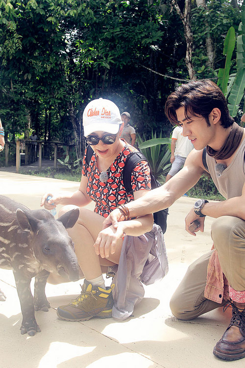 宋丹丹、李治廷与小动物互动