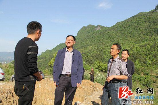 慈利:邱初开到雷雨垭隧道调研项目建设情况