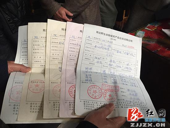 张家界工商、林业等部门开展野生动物整治行动，整体情况良好