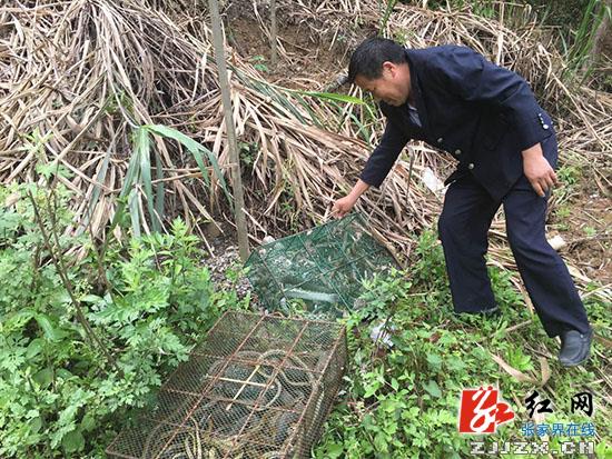 张家界工商、林业等部门开展野生动物整治行动，整体情况良好