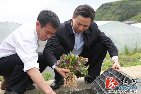 永定区： 祝云武调研农业农村工作
