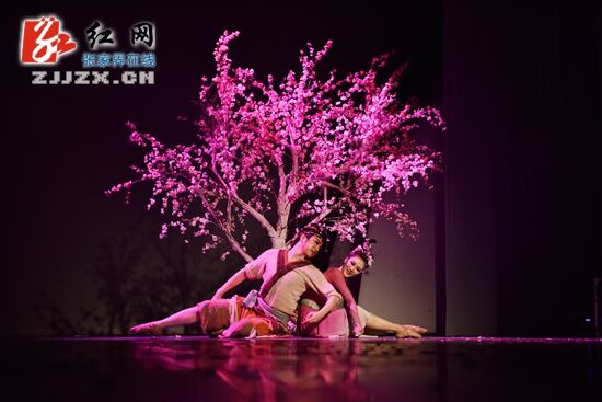 高大上视觉盛宴《桃花源记》张家界站巡演完美落幕