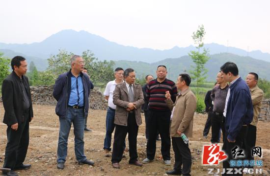 慈利县贯彻落实“一法一条例” 积极推动依法治旅