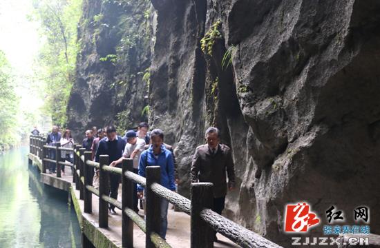 慈利县贯彻落实“一法一条例” 积极推动依法治旅