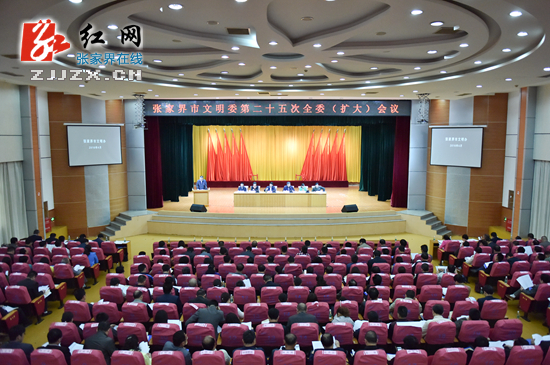 张家界市文明委第二十五次全委(扩大)会议召开