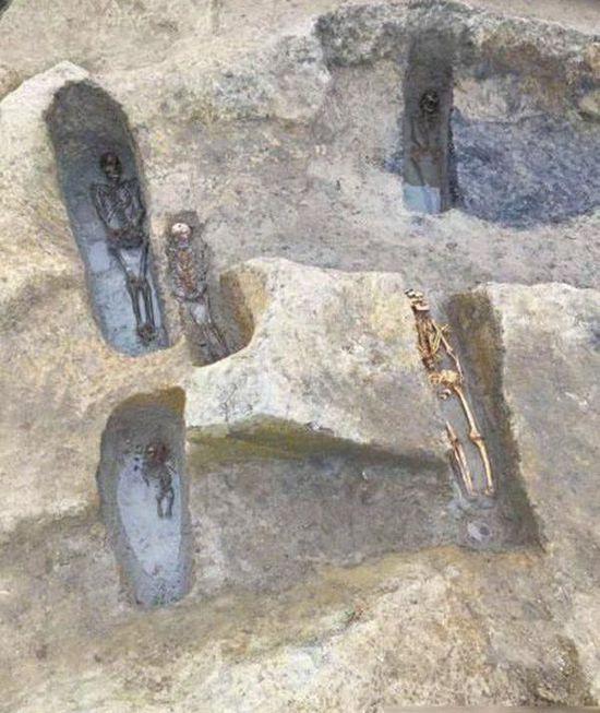 成都发现4500年史前墓地 人骨保存状况良好(图)