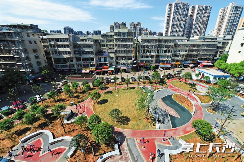 在莲花安置小区,下楼就是社区公园。