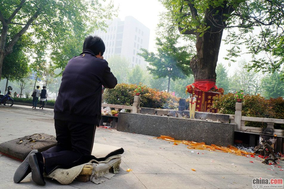 安徽淮北：百年臭椿树成“神树” 市民焚香跪拜(图)