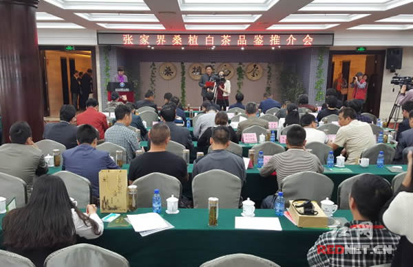 2016张家界春天茶会暨大湘西潇湘茶品牌推介会子活动之桑植白茶品鉴会举办。