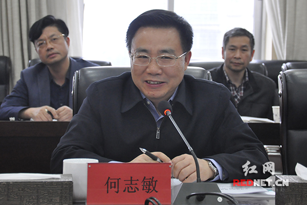 国家知识产权局副局长何志敏称赞湖南知识产权工作“有基础、有经验、有好的作法”。