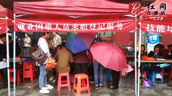 岳塘区“就业帮扶、精准脱贫”招聘会提供岗位5千余个