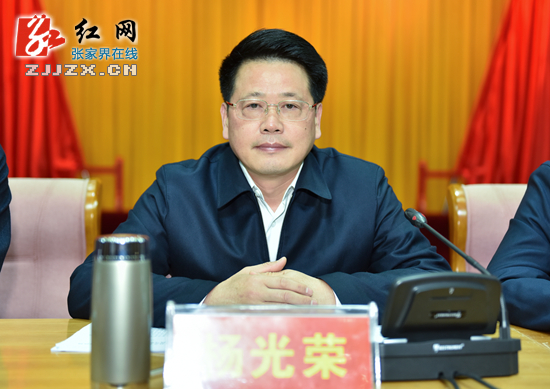 张家界两学一做学习教育工作会议 照片