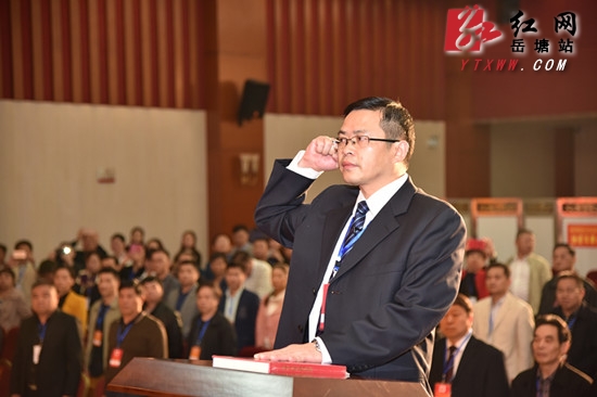 陈爱民当选岳塘区人民政府区长 向宪法宣誓