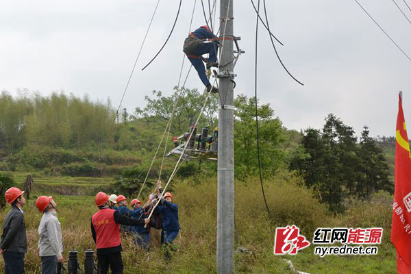 平江供电公司工作人员对每一基电杆进行检查