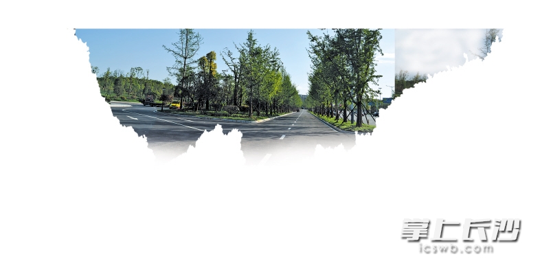 　　送客广场6万平方米山地微地形整形已完成，种植了近1000棵各类乔灌木。