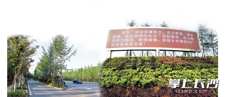 　　→80平方米的电子屏“直播”<a href='http://search.xinmin.cn/?q=宁乡' target='_blank' class='keywordsSearch'><p  align=