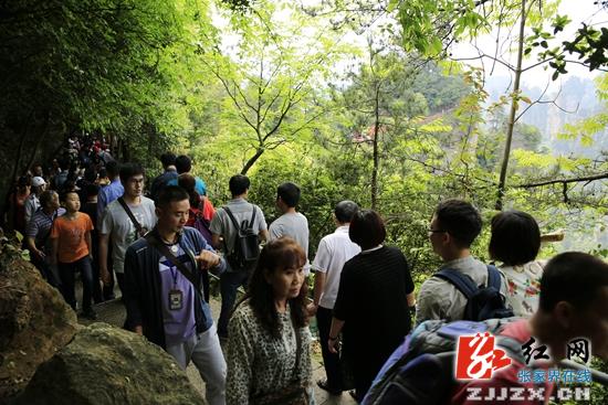 “五一”小长假 武陵源纳客42.66万人次