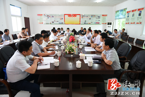 王志刚赴慈利县调研防汛备汛、全面小康和精准扶贫工作