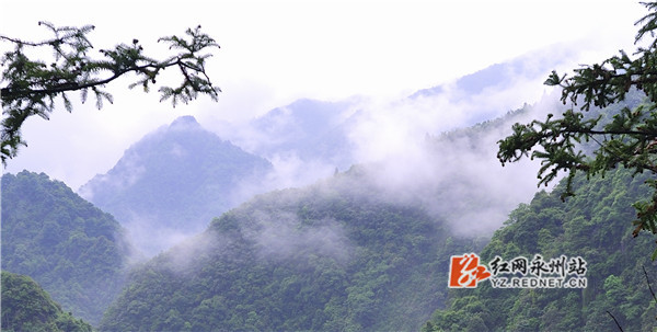 雨后的山顶，云雾缭绕，宛如仙境。唐明登 摄