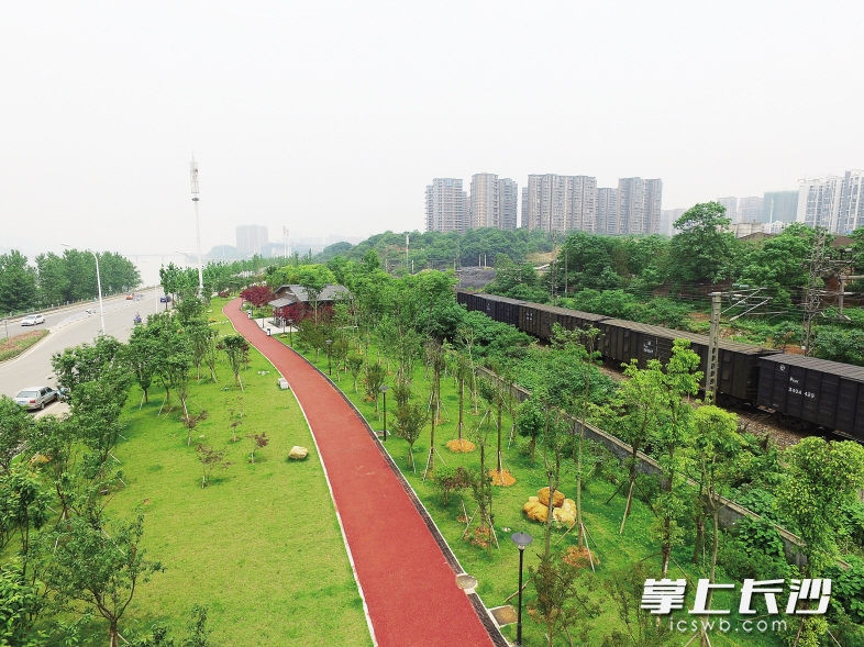 　　天心区滨江文化公园成为江边一景。