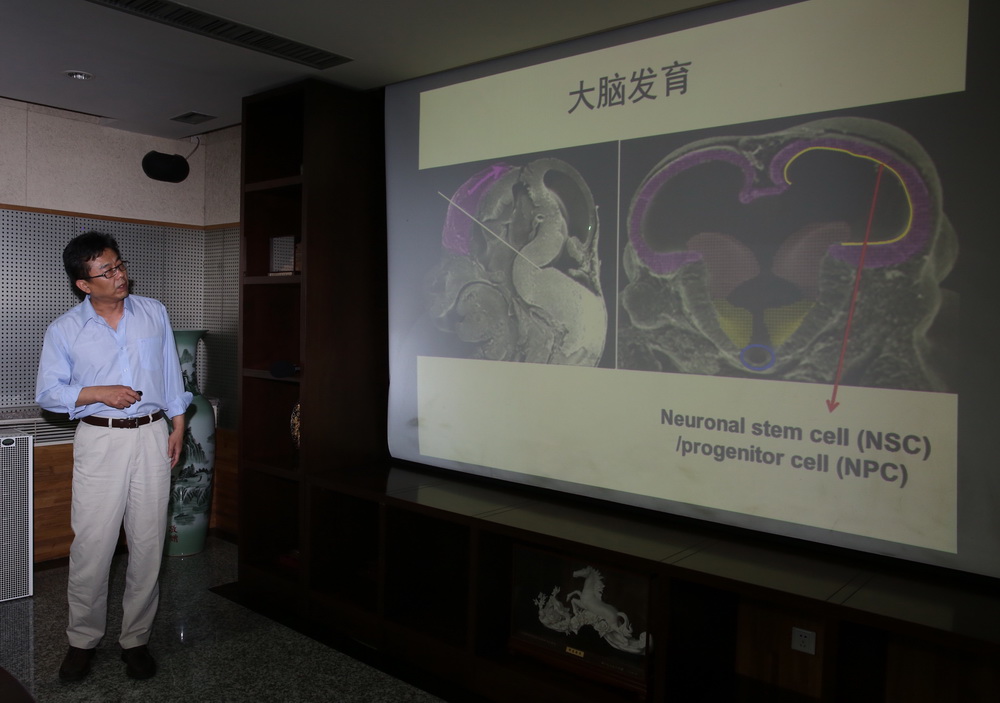 5月11日，在北京中国科学院遗传与发育生物学研究所，许执恒研究员在对媒体讲解寨卡病毒感染直接导致小头畸形的研究成果。
