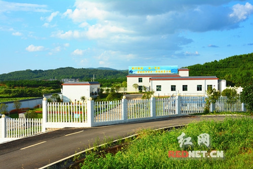 嘉禾举办首个“水厂开放日”活动。