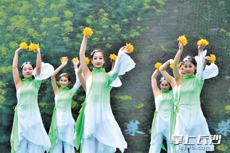 　　通过微信投票选出来的“花仙子”，为游客送上风信子、玫瑰等鲜花种子，这是长沙县积极利用网络新媒体推广旅游文化品牌的尝试。　　　长沙晚报记者 邹麟 摄